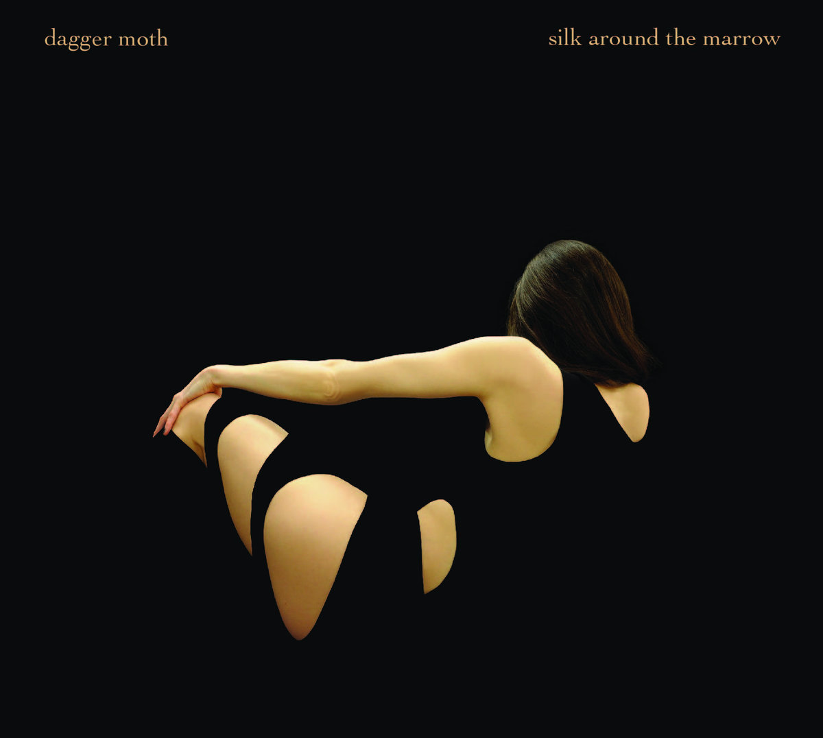 dagger moth silk around the marrow