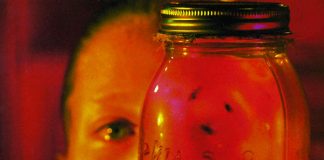 alice in chains jar of flies cover